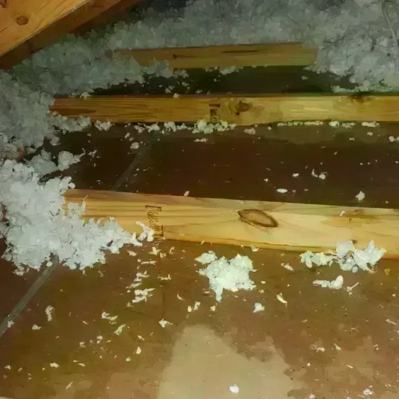 Attic Water Damage in Sand Point, AK