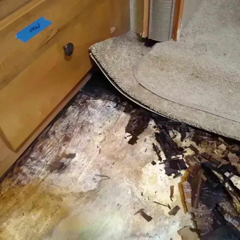 Wood Floor Water Damage in Sand Point, AK